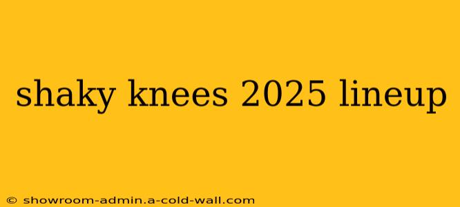 shaky knees 2025 lineup