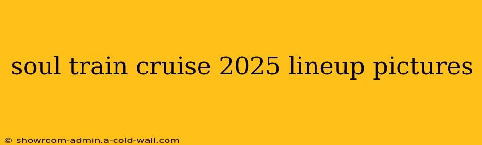 soul train cruise 2025 lineup pictures