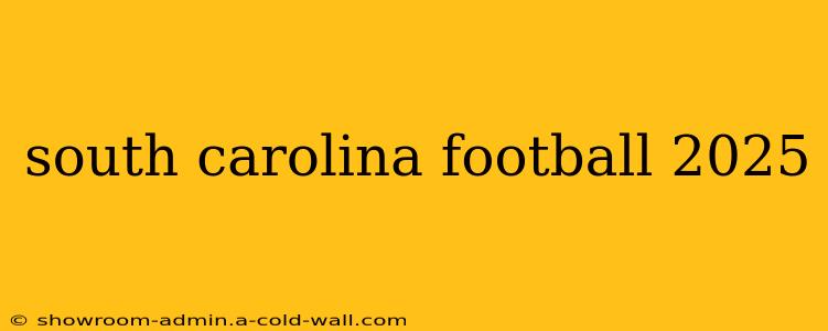 south carolina football 2025