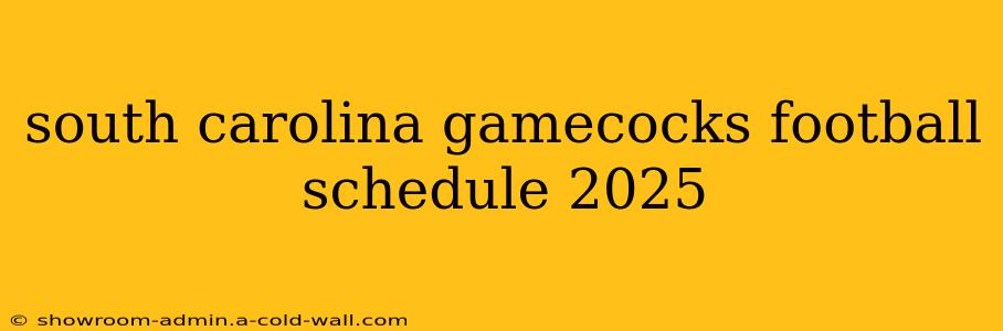 south carolina gamecocks football schedule 2025