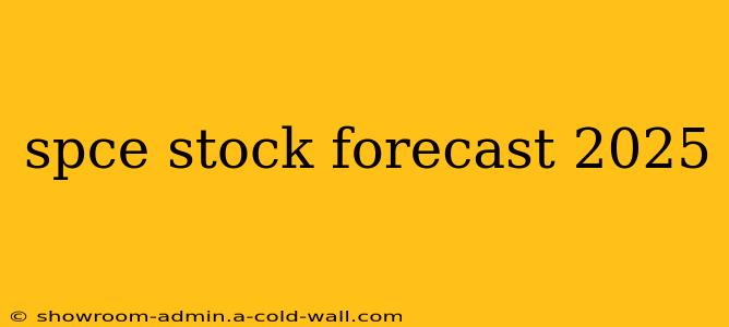 spce stock forecast 2025