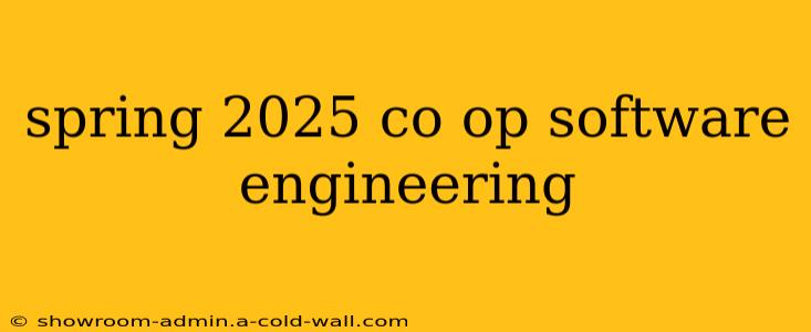 spring 2025 co op software engineering