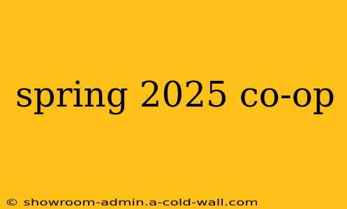 spring 2025 co-op