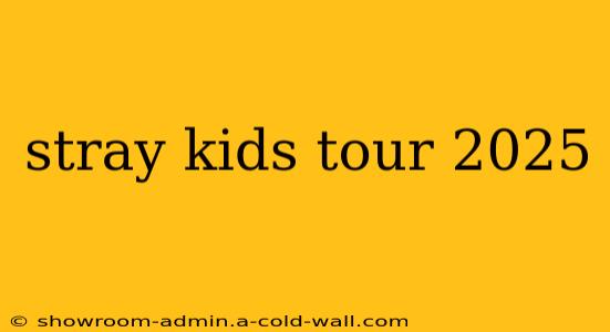 stray kids tour 2025