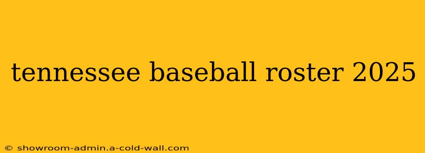 tennessee baseball roster 2025