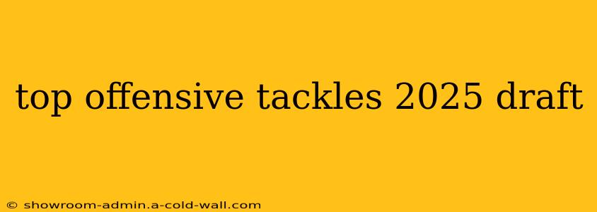 top offensive tackles 2025 draft