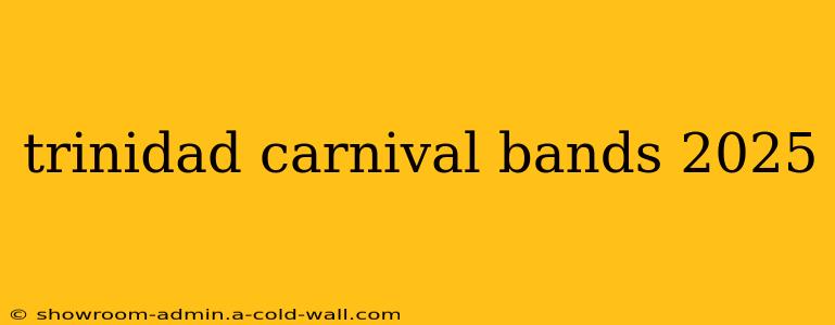 trinidad carnival bands 2025