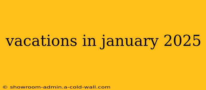 vacations in january 2025