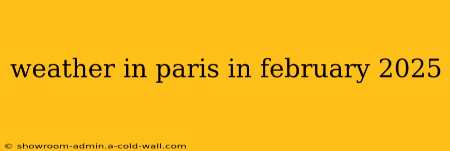 weather in paris in february 2025