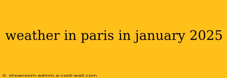 weather in paris in january 2025