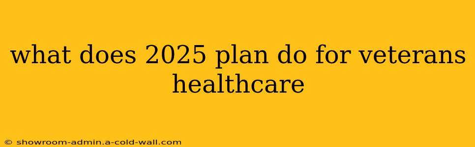 what does 2025 plan do for veterans healthcare