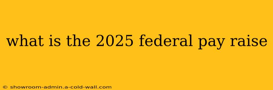 what is the 2025 federal pay raise