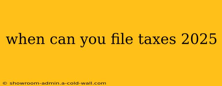 when can you file taxes 2025