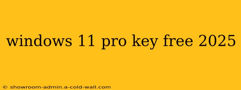 windows 11 pro key free 2025