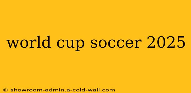 world cup soccer 2025